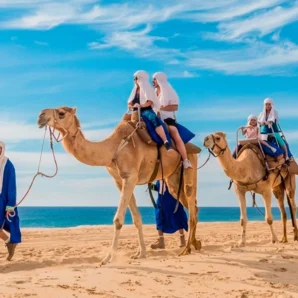 Camel Ride – Los Cabos